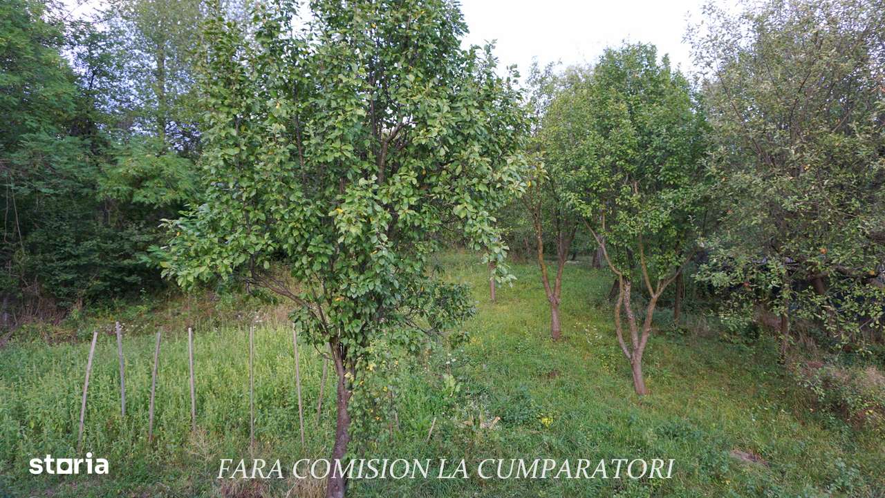 OLANESTI, CASA NOUA, TEREN 1389 MP-19