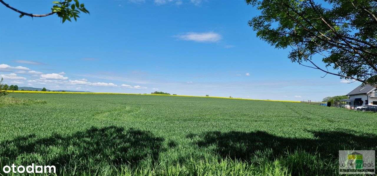 Działka, 5 000 m², Lutomia Dolna-0