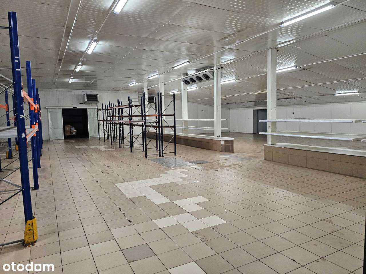 lokal użytkowy w atrakcyjnej lokalizacji - Pełny obrazek: 5/11