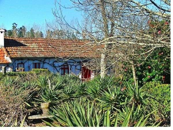 Quintinha para restauro a 20 minutos do Porto - Grande imagem: 4/8