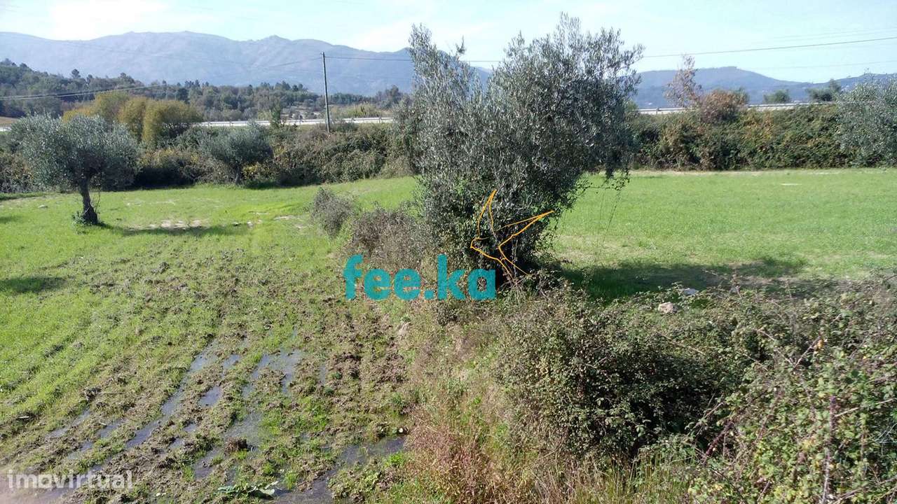 Terreno de 13 ha em Cova da Beira - Grande imagem: 4/16