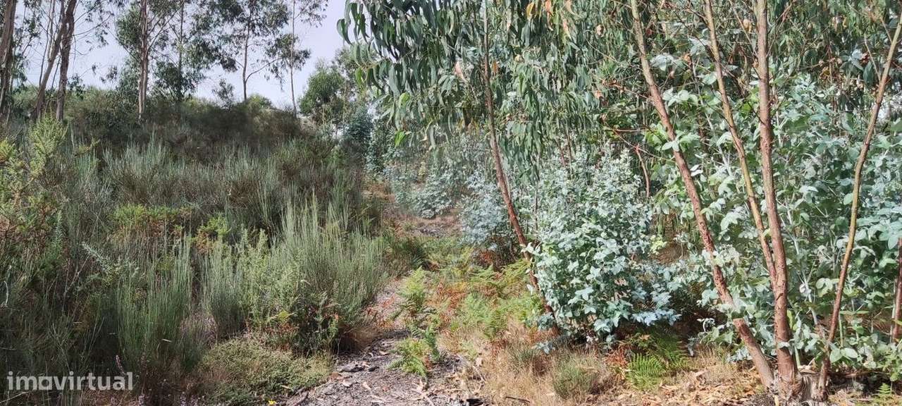 Terreno  para venda - Grande imagem: 4/10