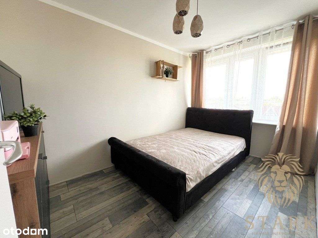 2 pokojowe mieszkanie w centrum miasta - Pełny obrazek: 5/9