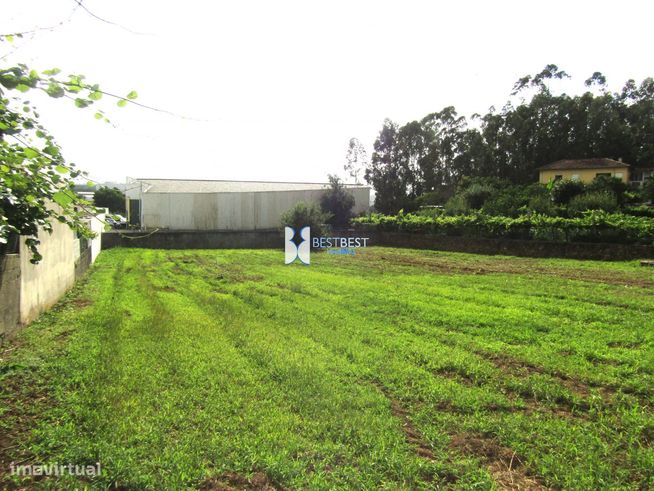 DUAS MORADIAS PARA RESTAURO,MAIS  TERRENO ( 3 ART.MATRICIAIS ),JUNTO C-46