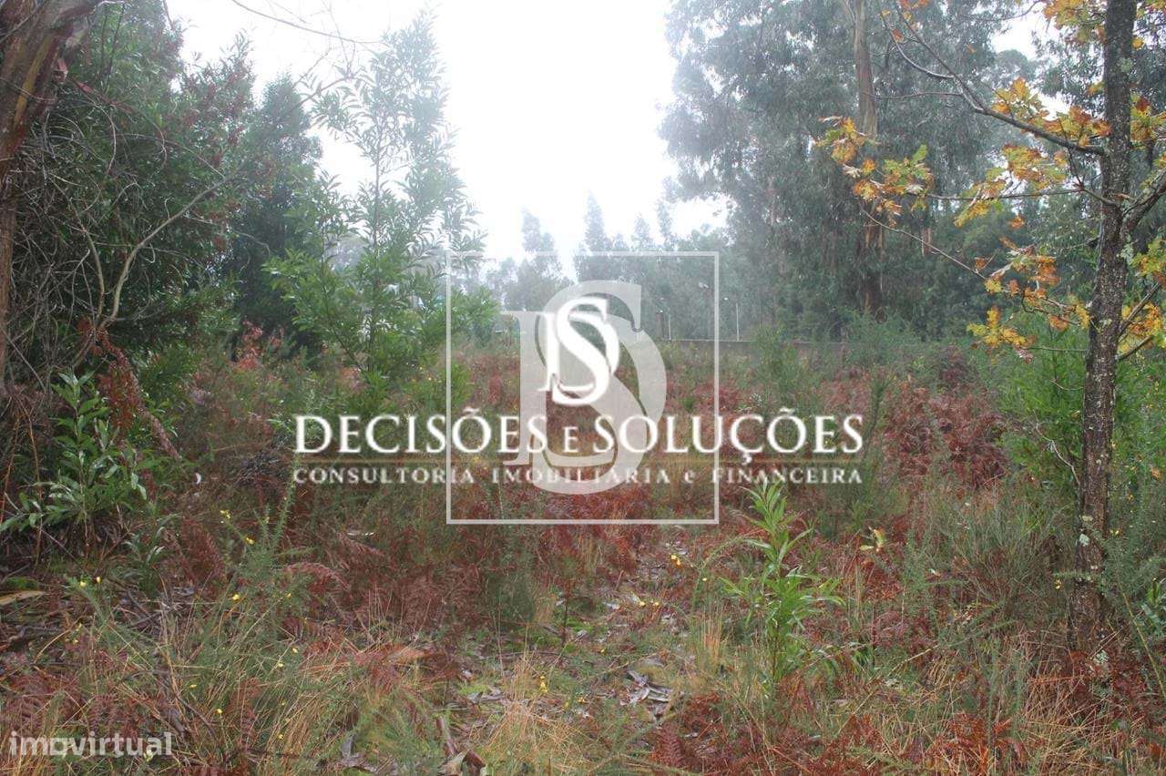 Terreno em Carvalhosa - Grande imagem: 4/8