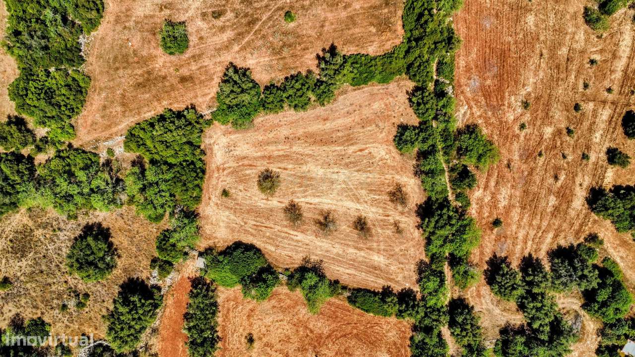 Tranquilidade na natureza - Terreno Rústico para Venda - Grande imagem: 5/36
