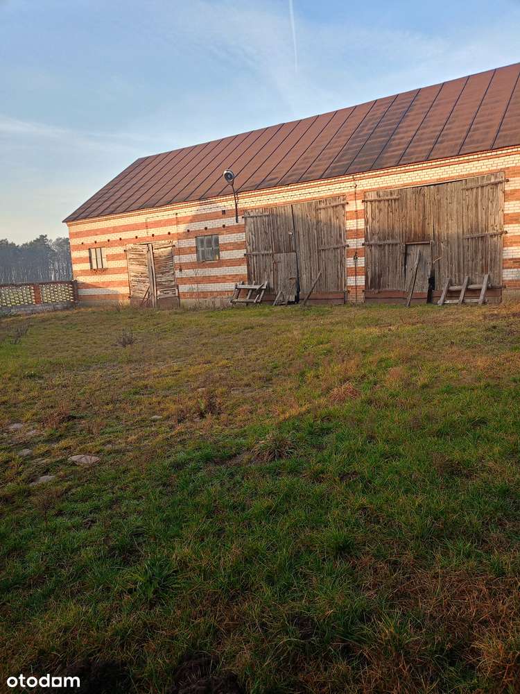 Sprzedam dom - Pełny obrazek: 5/8