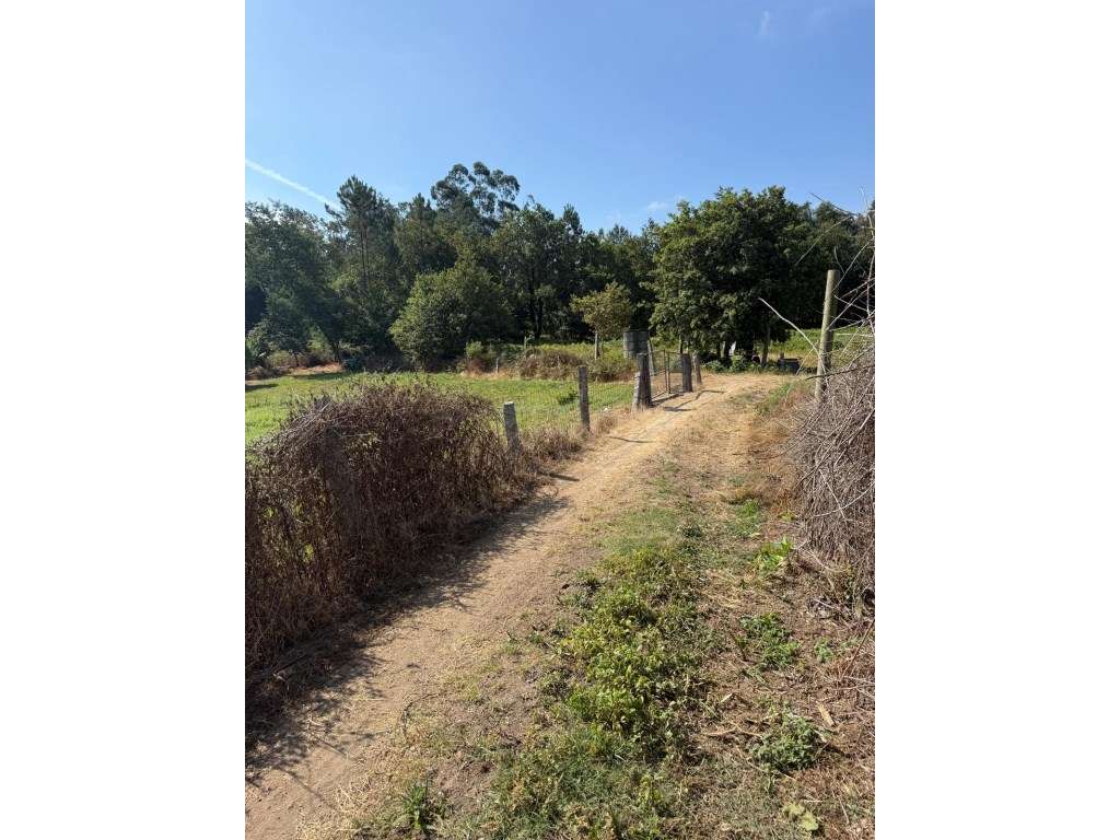 Terreno para construção em Lemenhe.-13