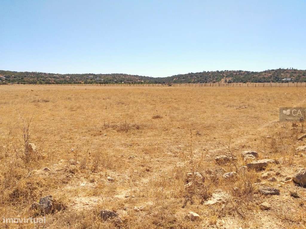 Terreno rústico com 8.980m², situado em Várzea do Poço da Figueira,... - Grande imagem: 4/4