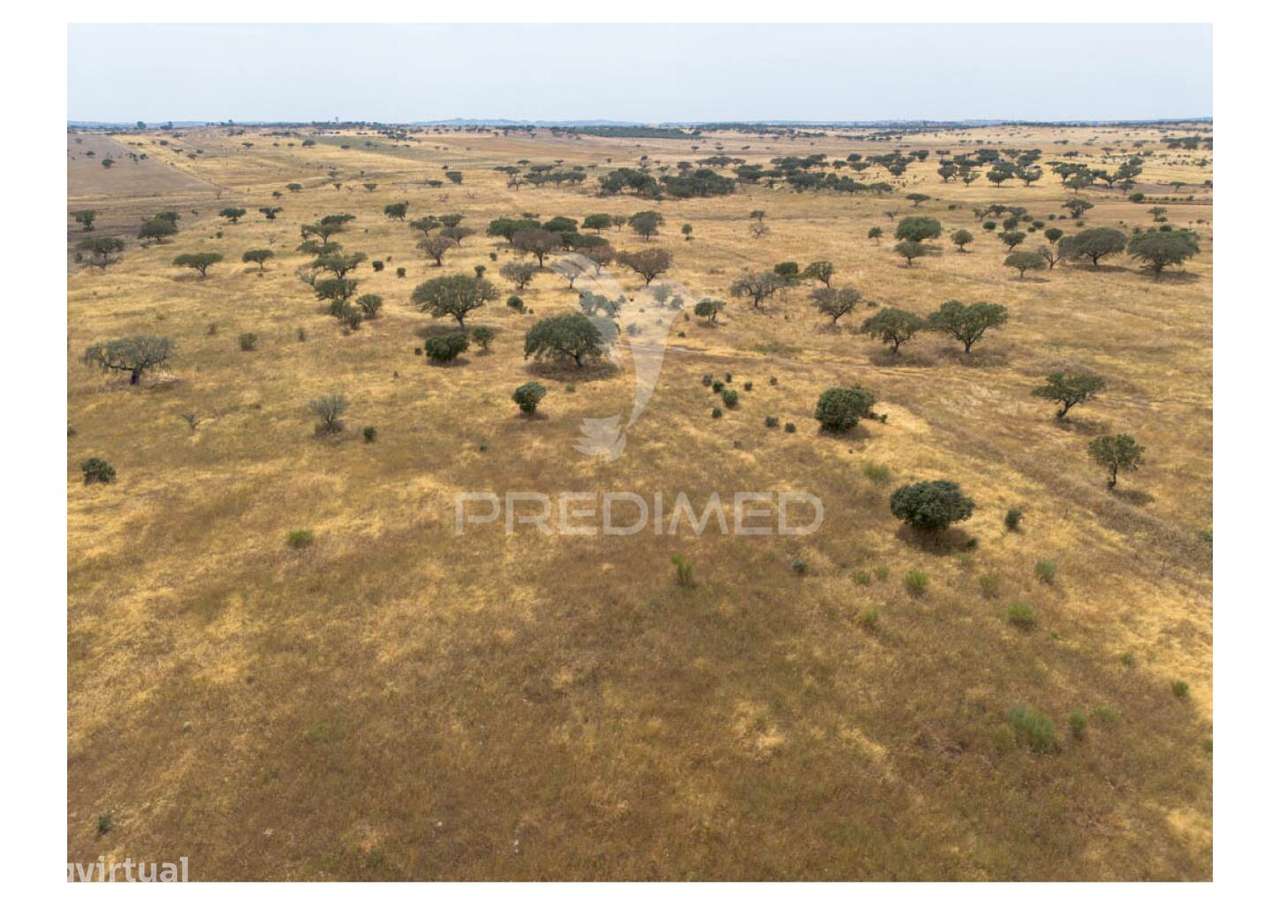 Terreno Rústico de 10,95 Hectares à Venda –Monte Juntos , Freguesia... - Grande imagem: 1/21