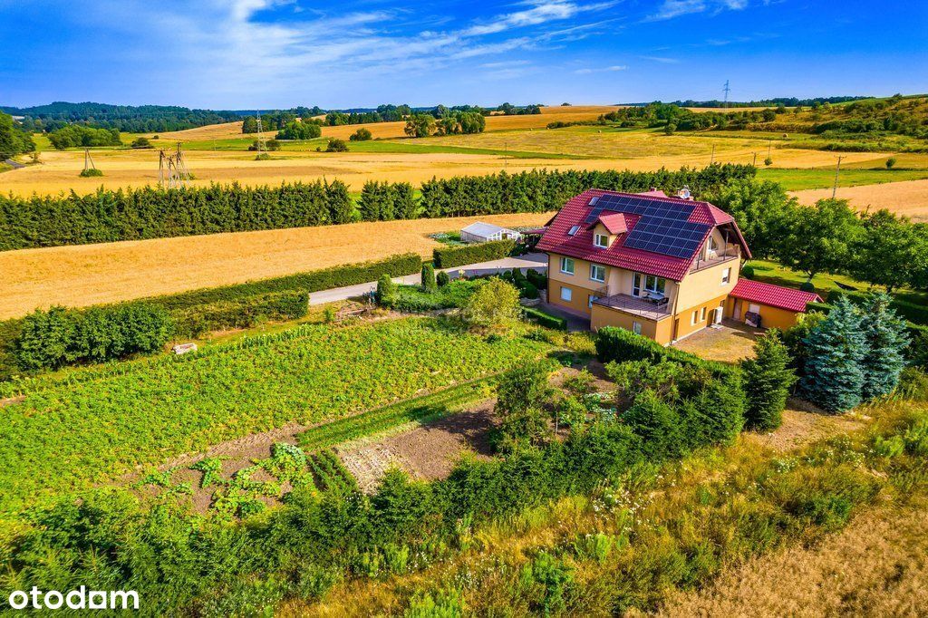 Piękny duży dom z działką 9211m2 i drugim domem