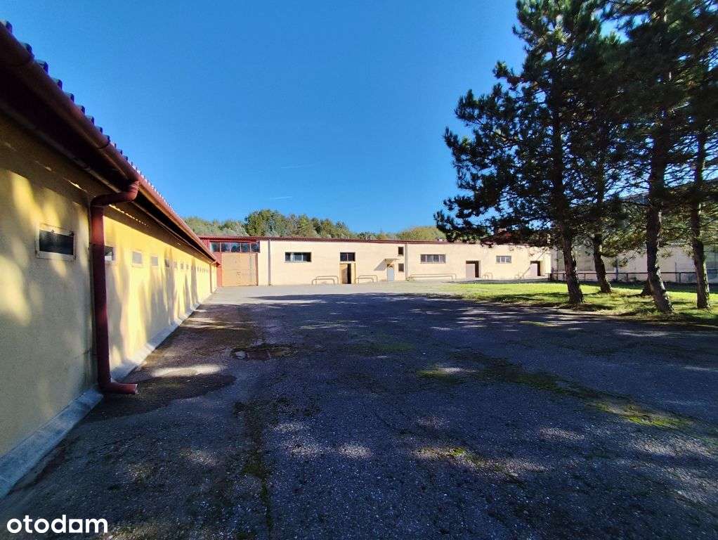 Zakład produkcyjno-magazynowy PU 5000m2 IGLOOPOL Brzesko-10