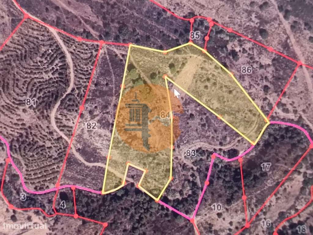 TERRENO RUSTICO COM 21.720 M2 - PRÓXIMO A ALDEIA DO AZINHAL - PIÇAR... - Grande imagem: 2/30