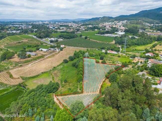 Terreno Agrícola - Figueiredo, Amares-1