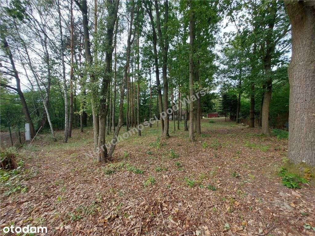 Cisza, Zieleń, Rzeka I Ona - Działka W Łosiu.-15