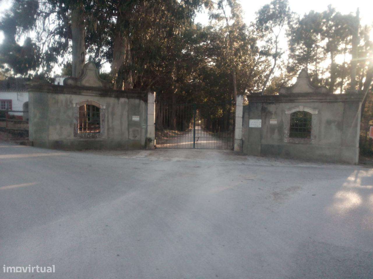 Azeitão / Brejos Azeitão Terreno 5000m2 . - Grande imagem: 5/12