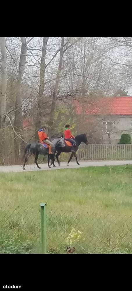 Dom na działce 33a Pozwolenie na budowę z Projektem Nowego Domu-15