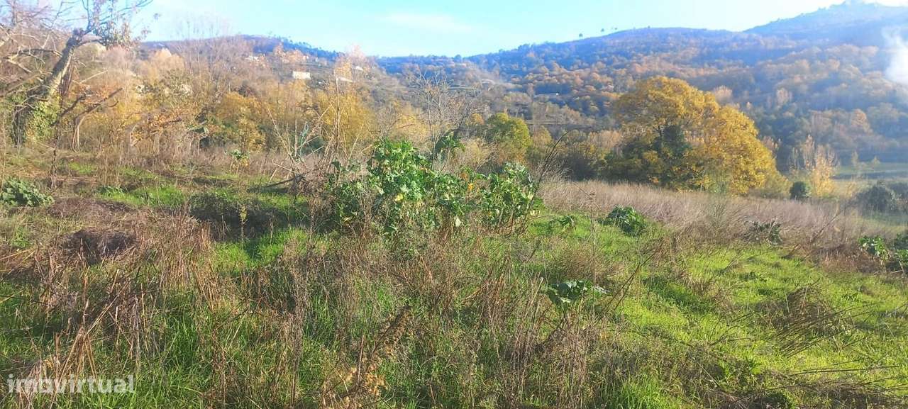 Quinta T3 Venda em Anreade e São Romão de Aregos,Resende - Grande imagem: 4/19