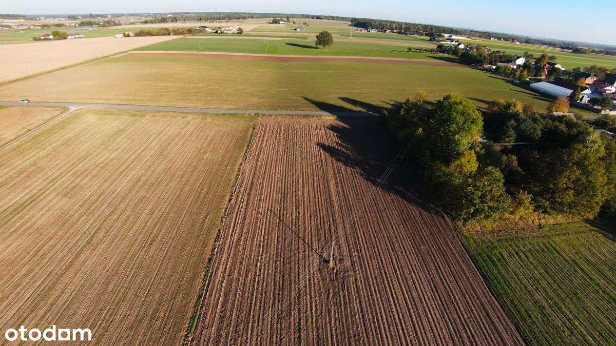 Działka budowlana w spokojnej okolicy| Wilkowiecko - Pełny obrazek: 5/6