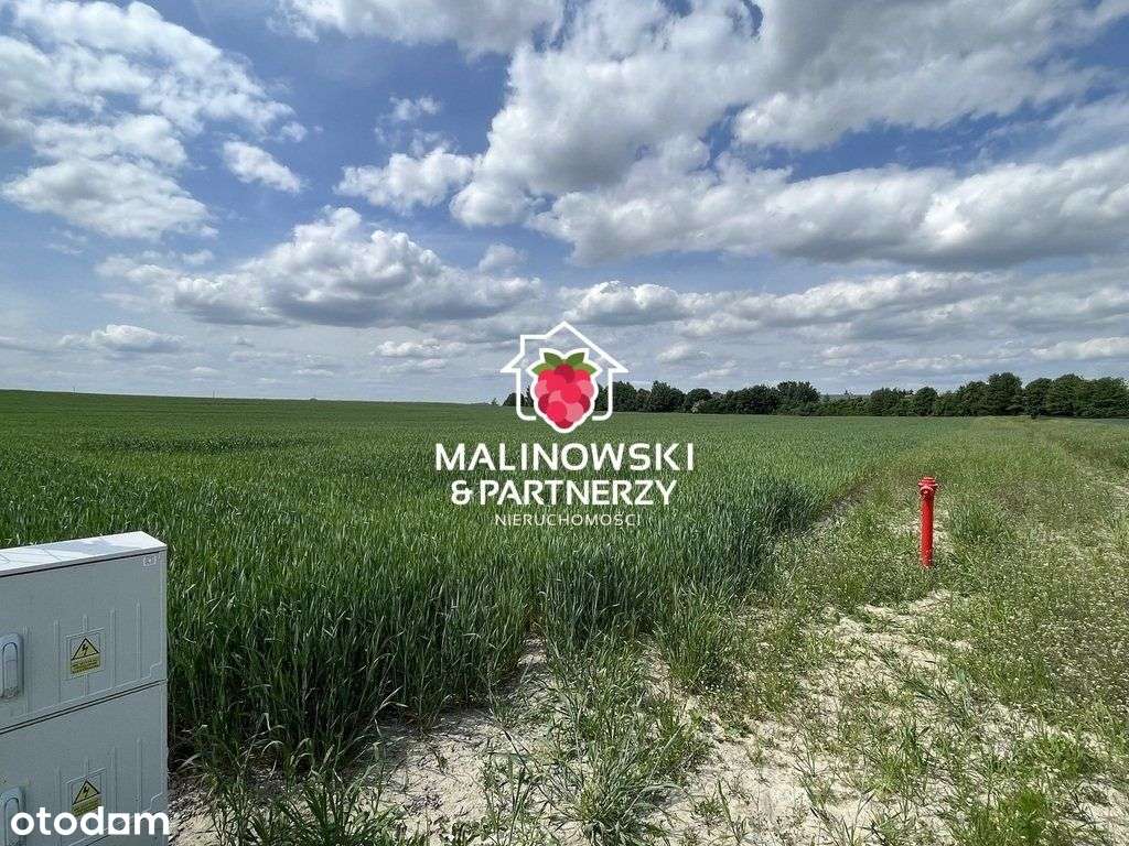 Działka Leszcz obok Torunia - Pełny obrazek: 1/4