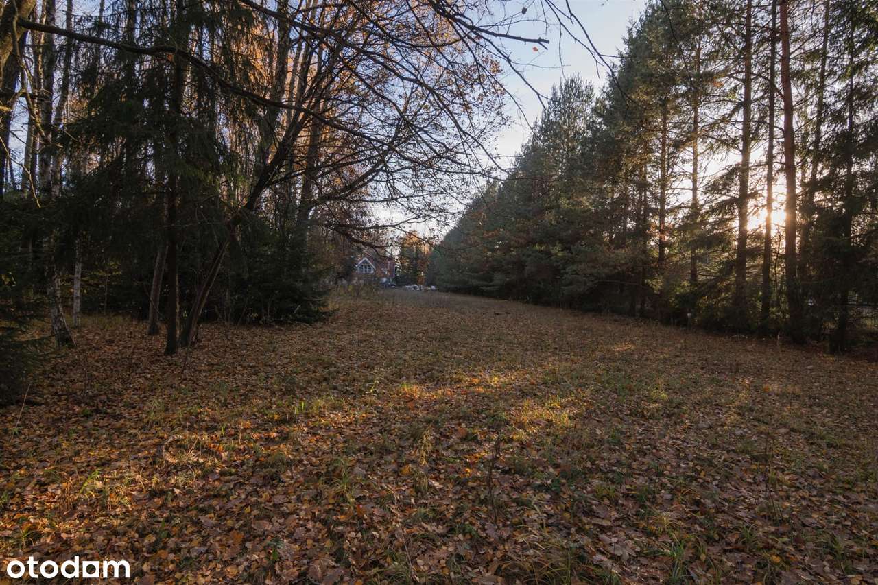 Działka rezydencjonalna w Sobolewie - Pełny obrazek: 5/19