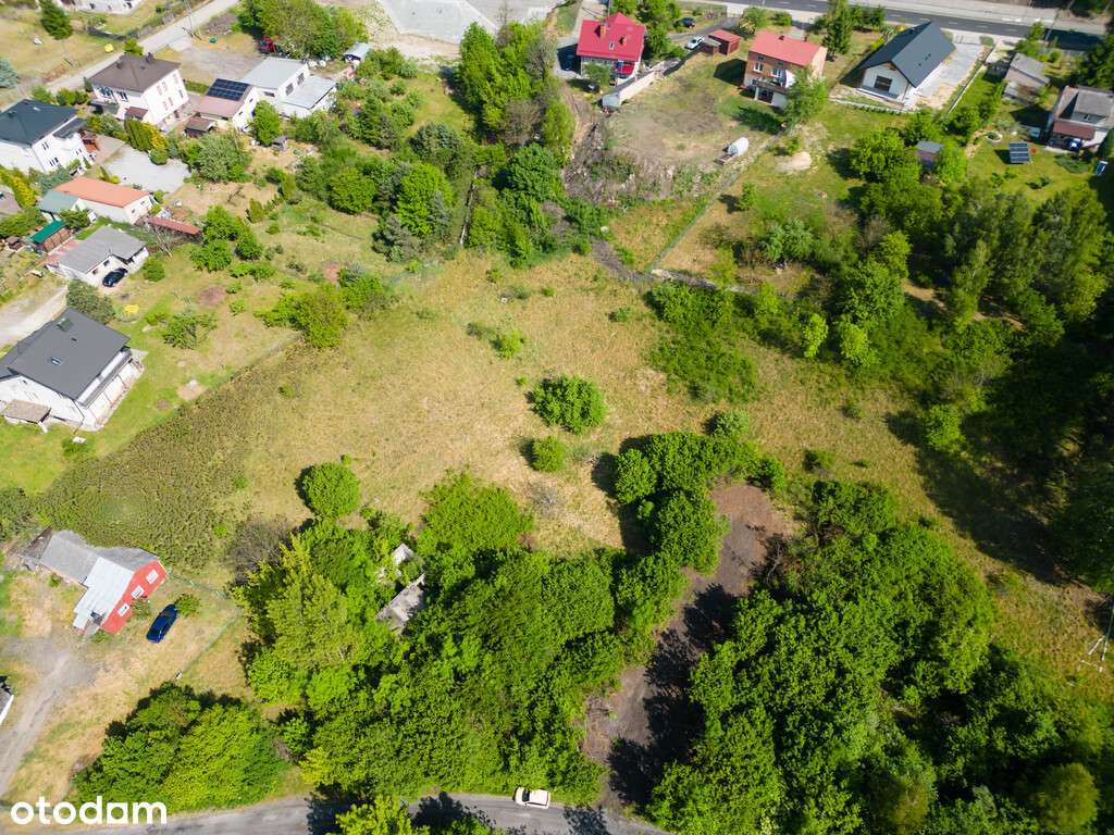 Działka w spokojnej okolicy ul. Bieliny - 1601m2 - Pełny obrazek: 5/9