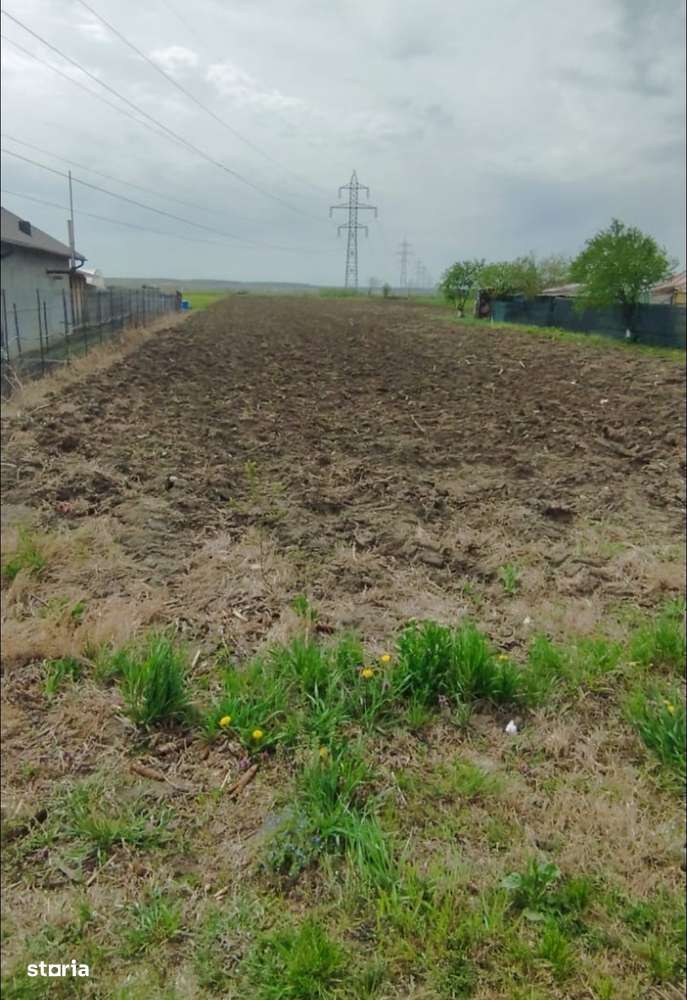 TEREN CASE -MANESTI AER CURAT  -canal irirgatii cu apa  spate teren - Imagine principală: 5/6