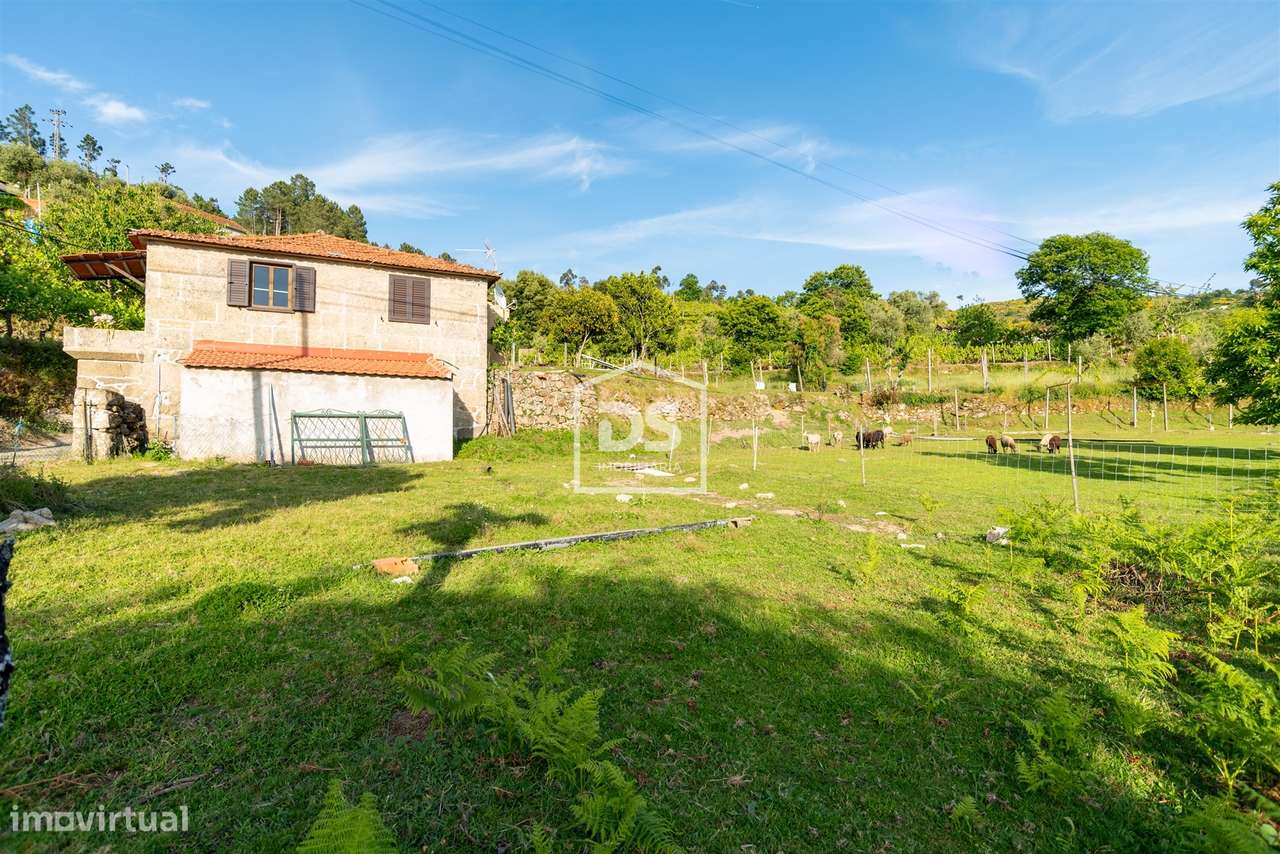 Moradia T3 Venda em Ferreiros de Tendais,Cinfães - Grande imagem: 3/21