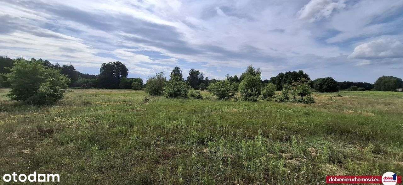 Działka budowlana | 1158m2 | Solec Kujawski - Pełny obrazek: 5/5