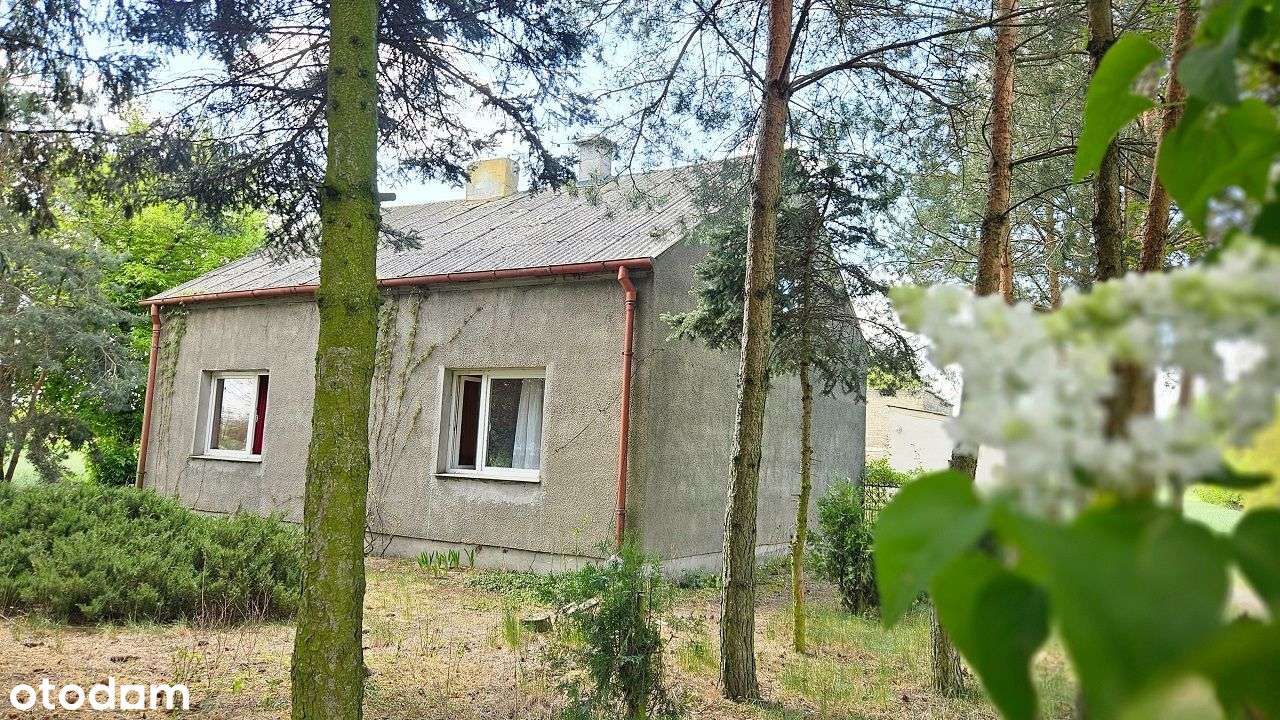 Siedlisko z potencjałem – Piotrków Kujawski, możliwość podziału-0