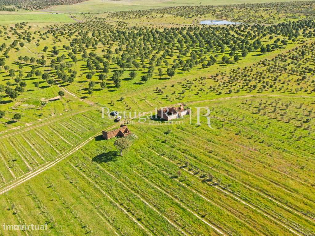 Herdades de Caça com 1300 Hectares, junto do rio Guadiana-23