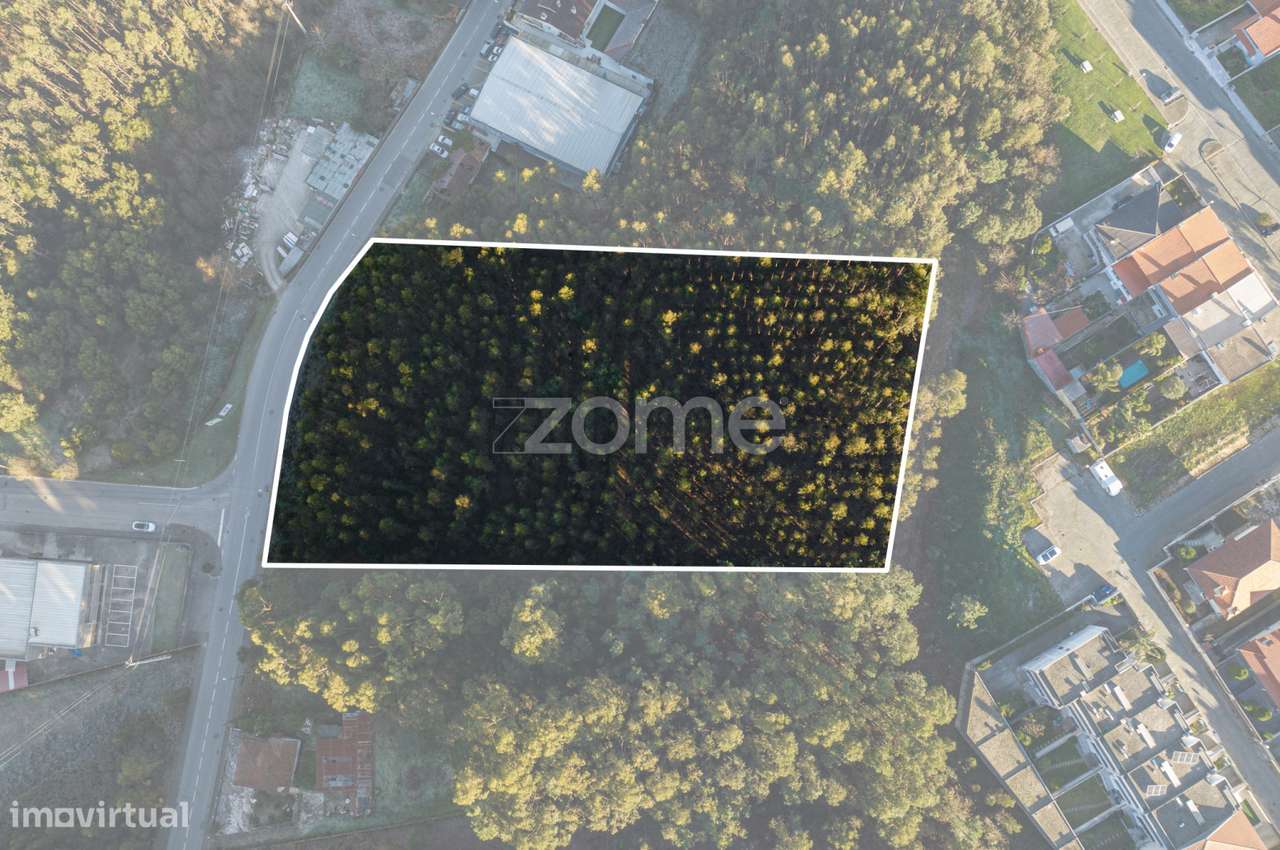 Terreno Urbano Sanguedo - Grande imagem: 3/16