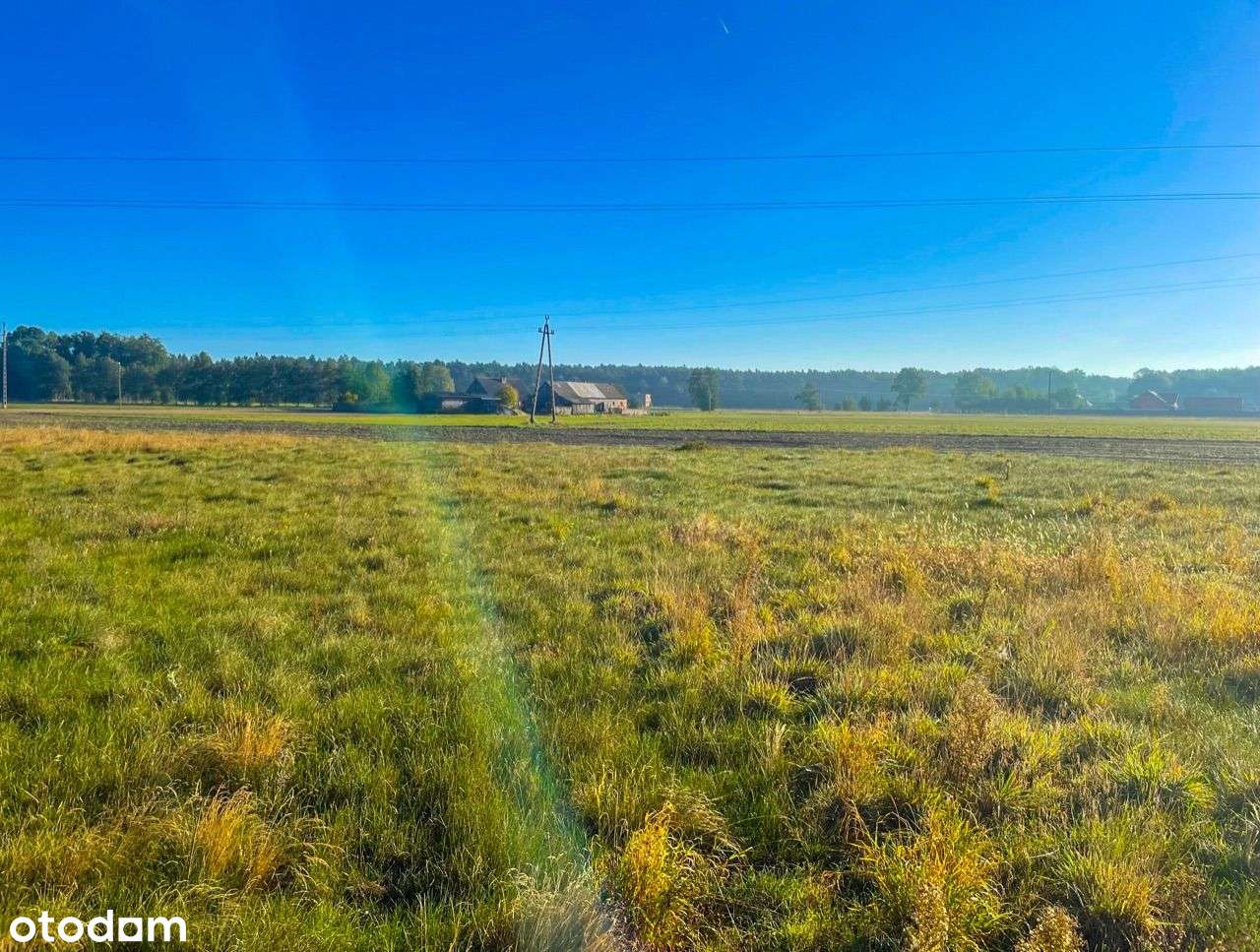 Działka pod Stajnie !SPA !Kasyno ! DUŻE MOŻLIWOŚCI - Pełny obrazek: 5/9