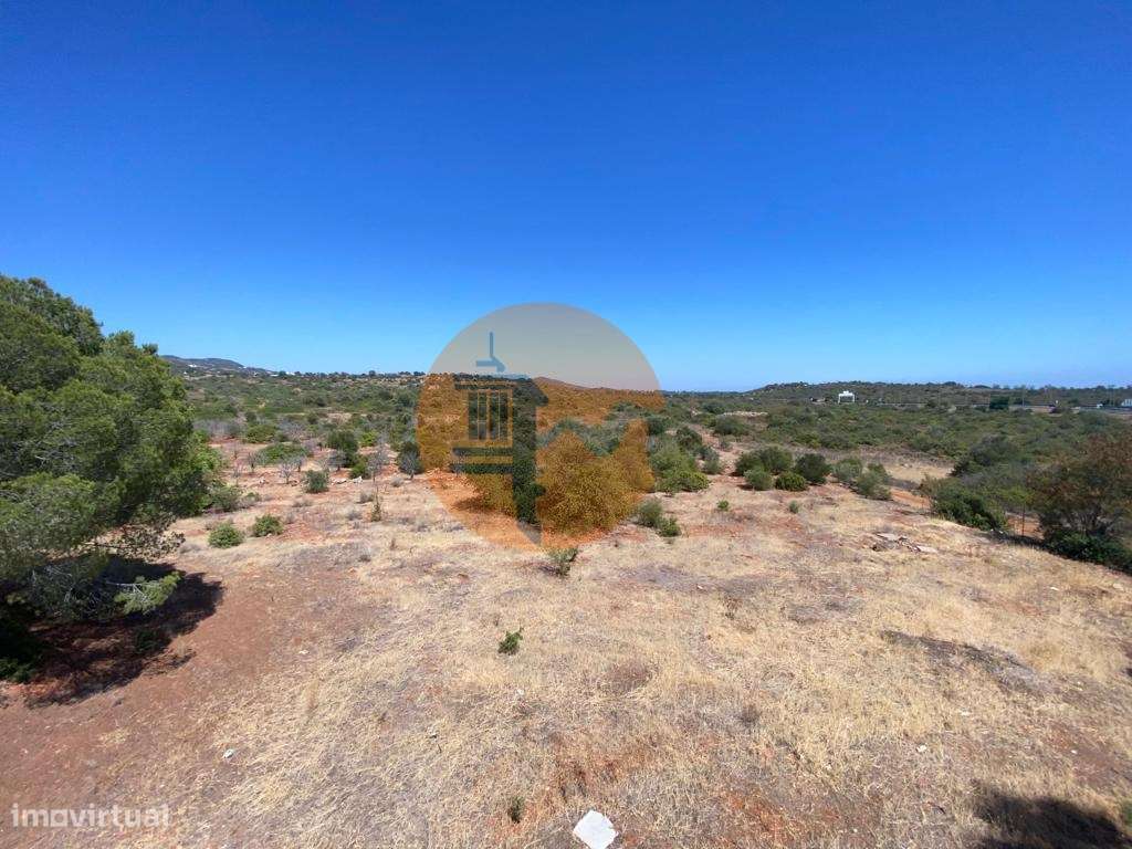 Magnifica Moradia com terreno de grande dimensão !!!-36