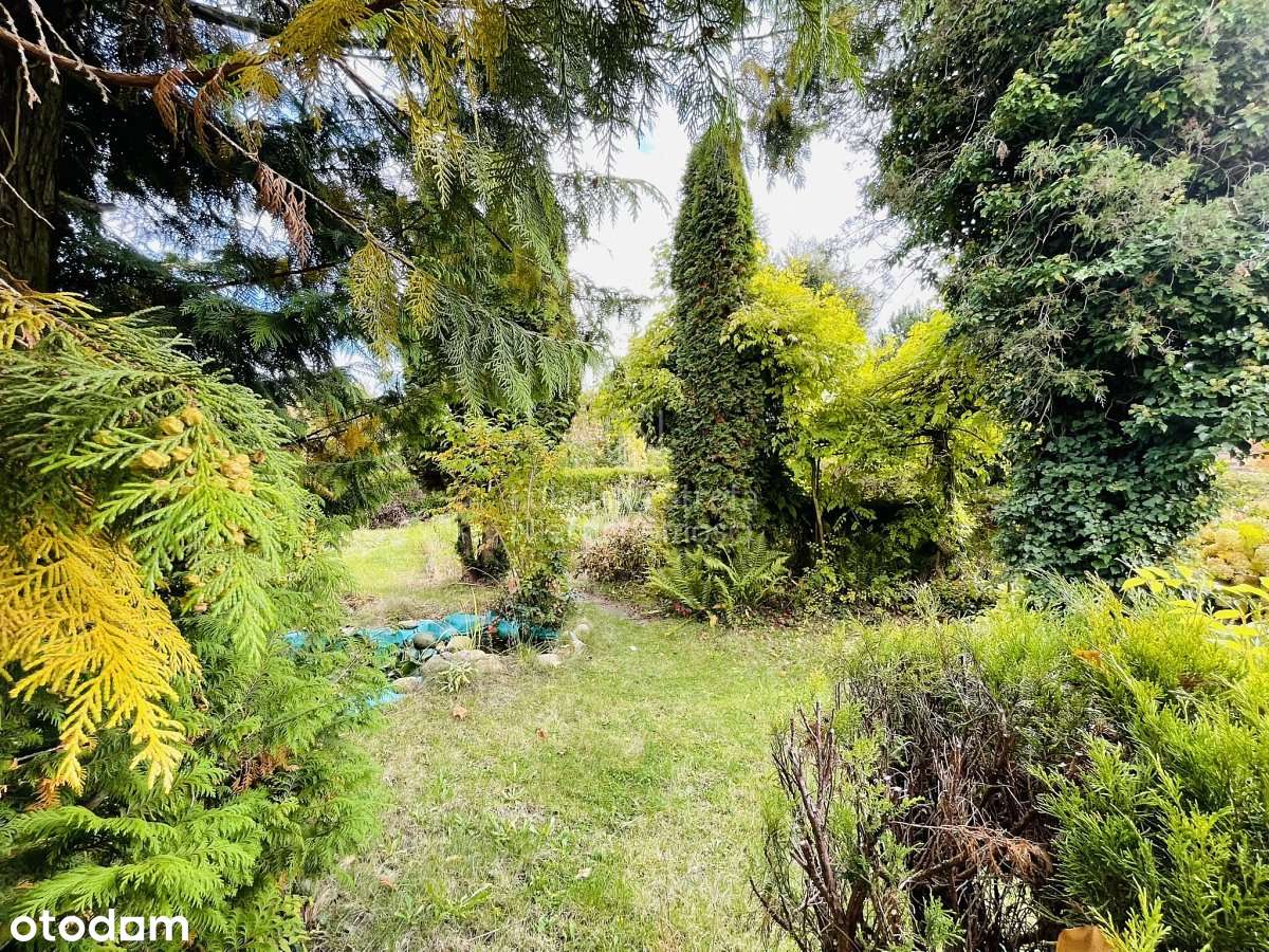 Atrakcyjna działka ROD "OAZA" w Uniszowicach-6