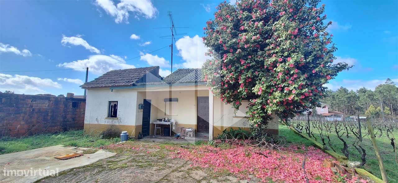 Moradia Devoluta T1 Venda em Molelos,Tondela-15