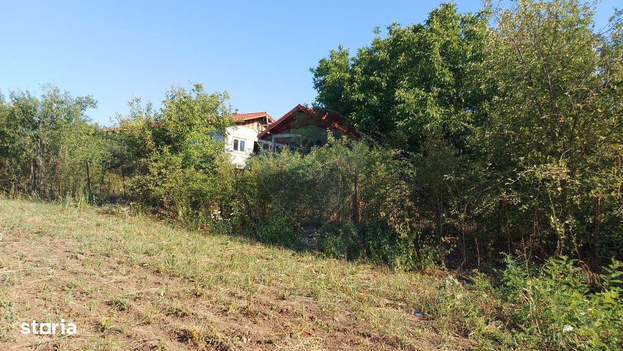 Vanzare teren Saftica strada Calea Bucuresti - Imagine principală: 5/6