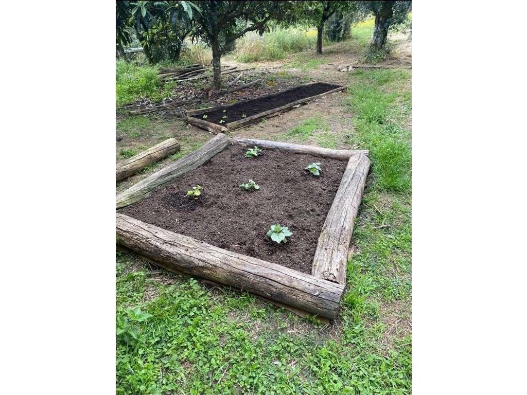 Moradia tipologia T2-39