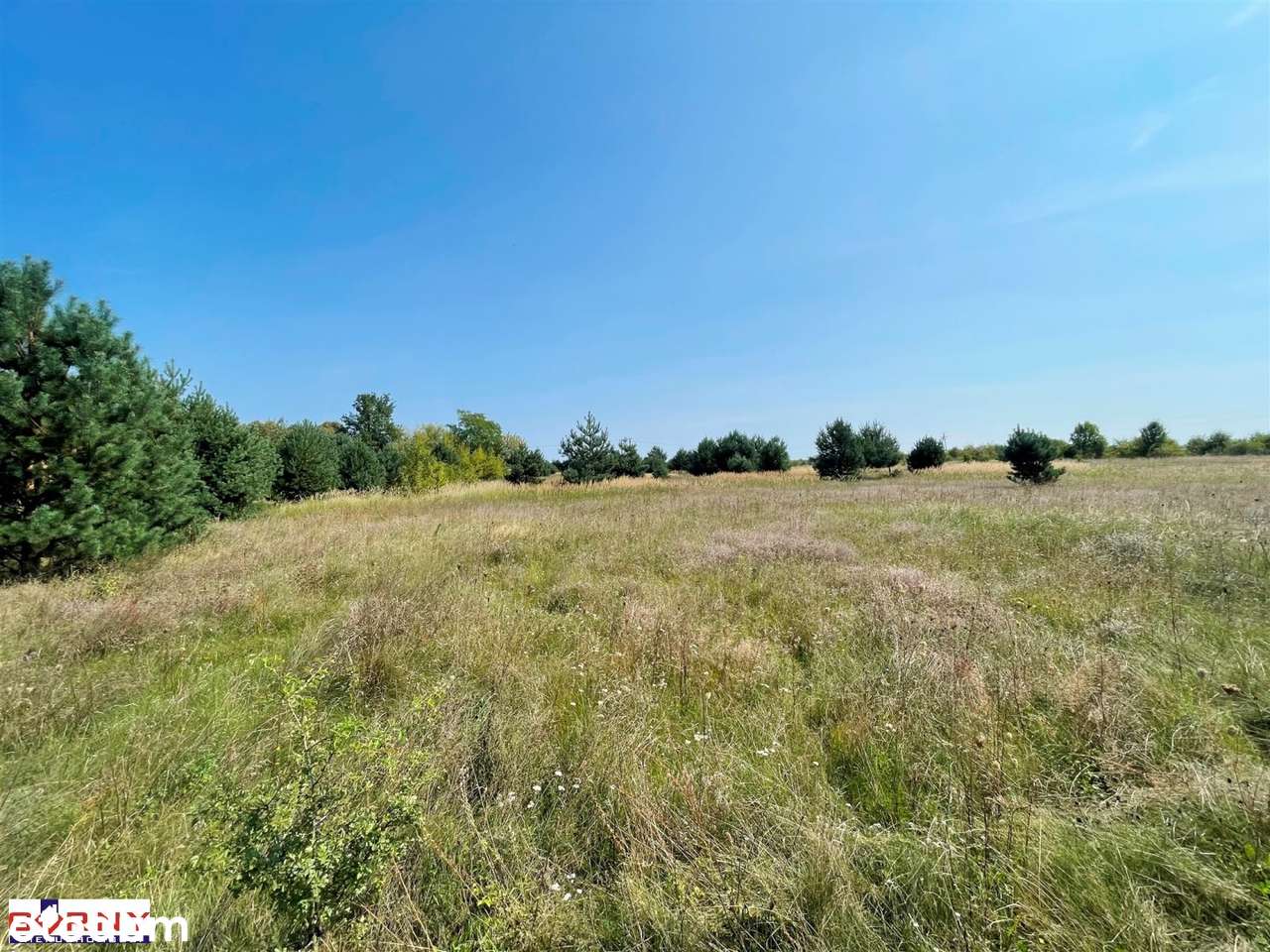 Działka na sprzedaż, Sulejów-5