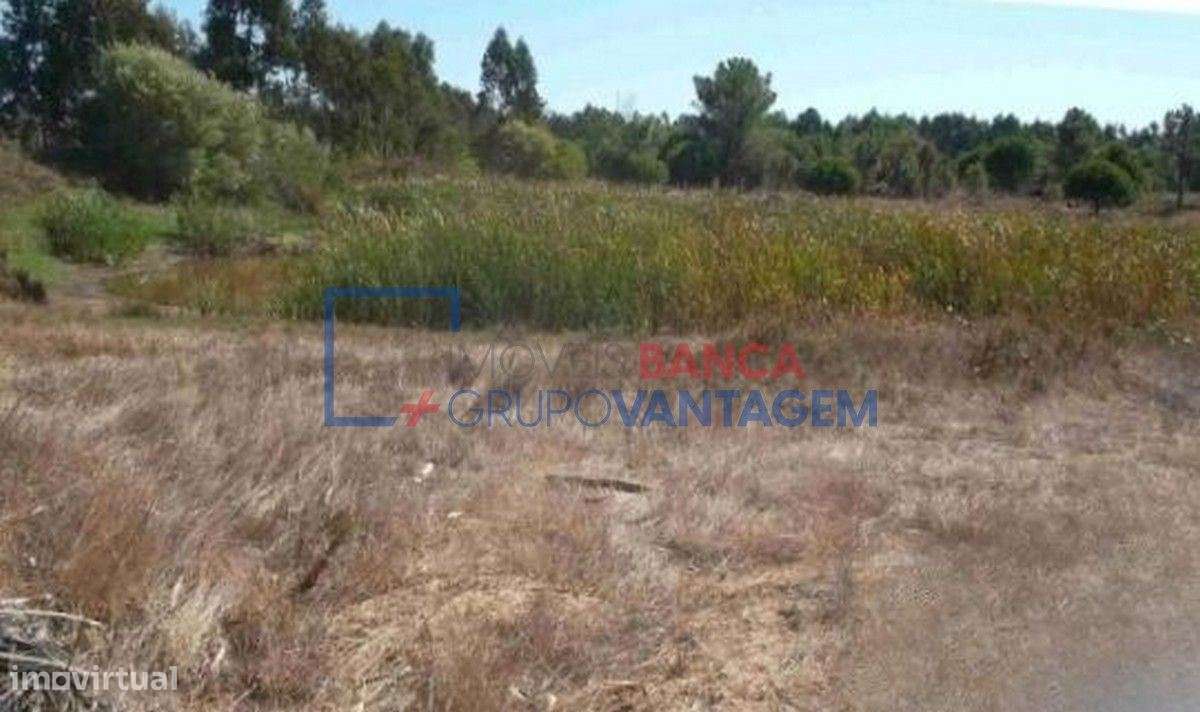 Prédio rústico com 24 hectares na Freguesia de São Teotónio, Odemira - Grande imagem: 4/11