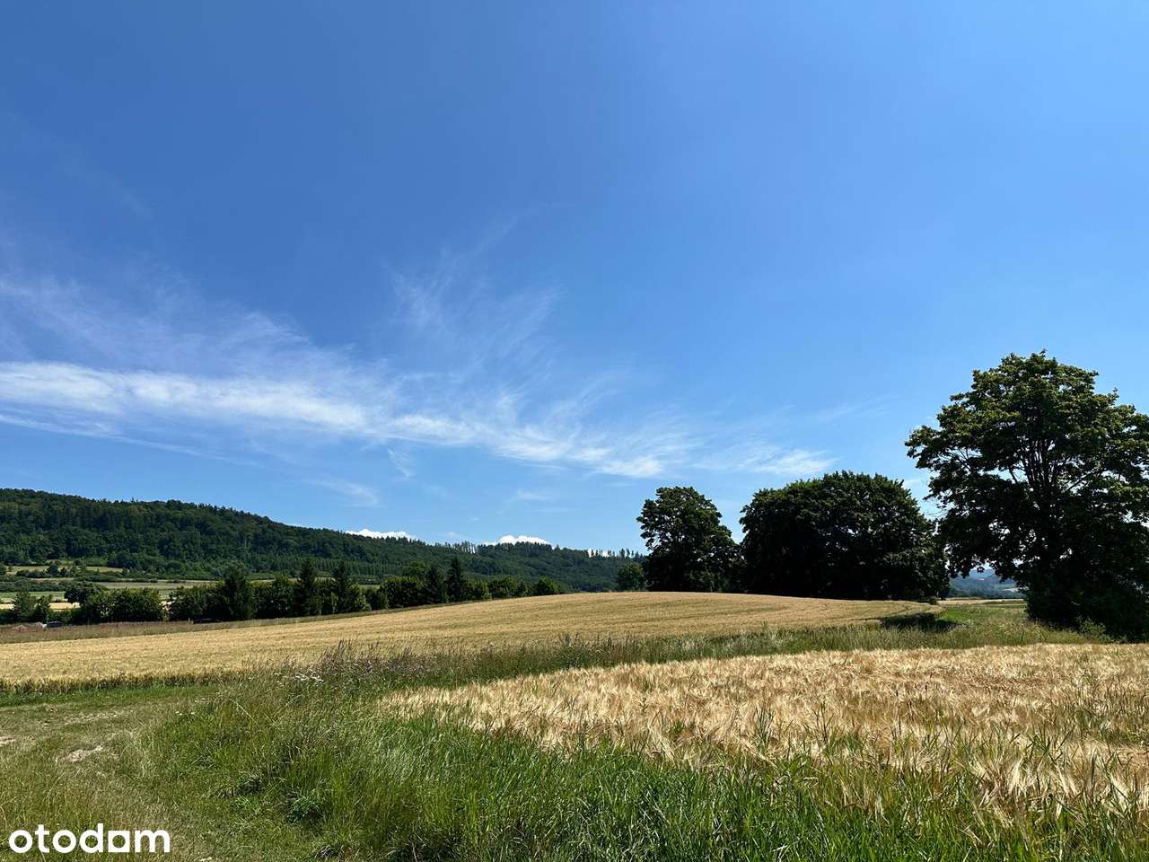 Działka z warunkami zabudowy - Pełny obrazek: 5/10