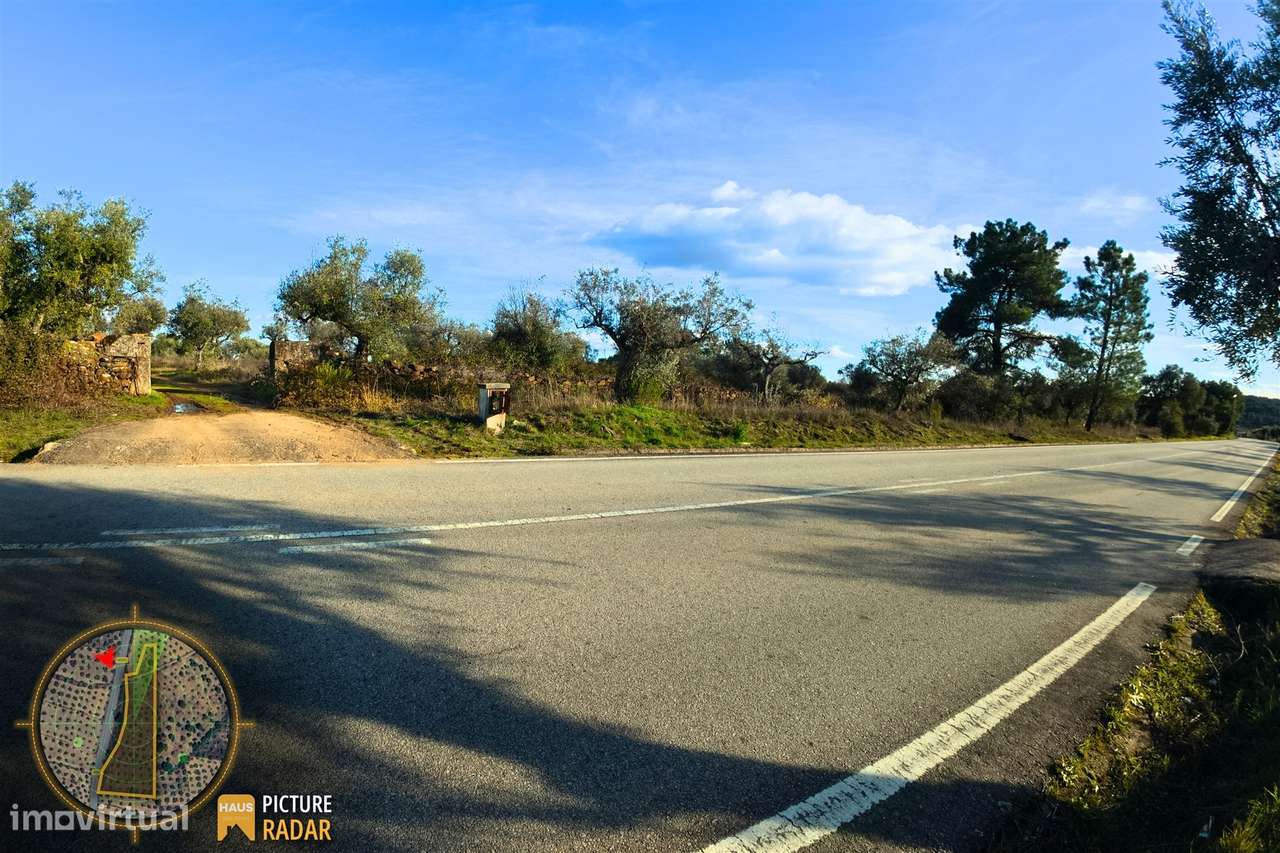 Terreno Plano 6.700m² c/ Vistas Panorâmicas – Salgueiro do Campo-6