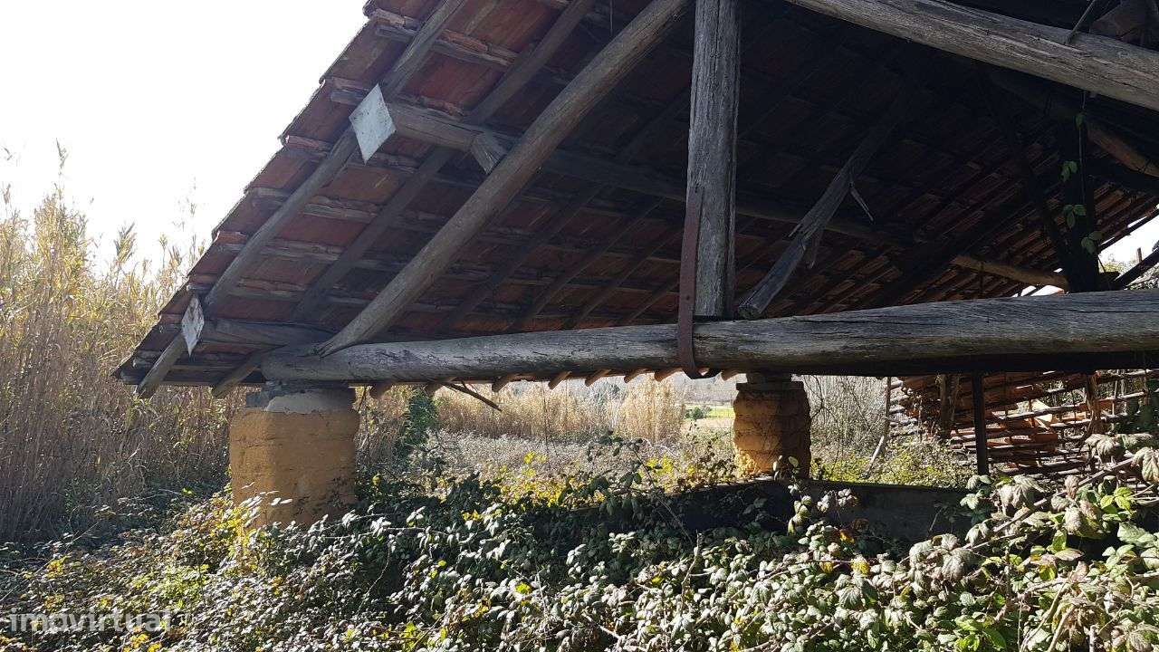 Quinta na Bairrada - Grande imagem: 4/22