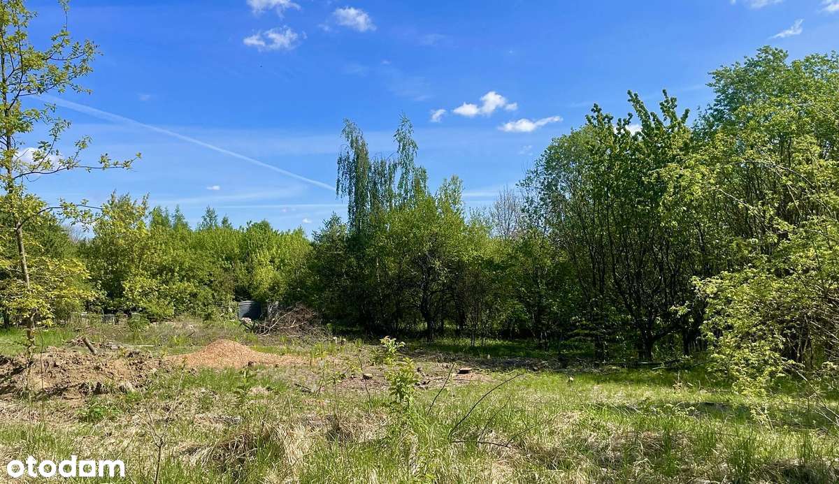 Urokliwe działki w Starym Czarnowie - Pełny obrazek: 4/15