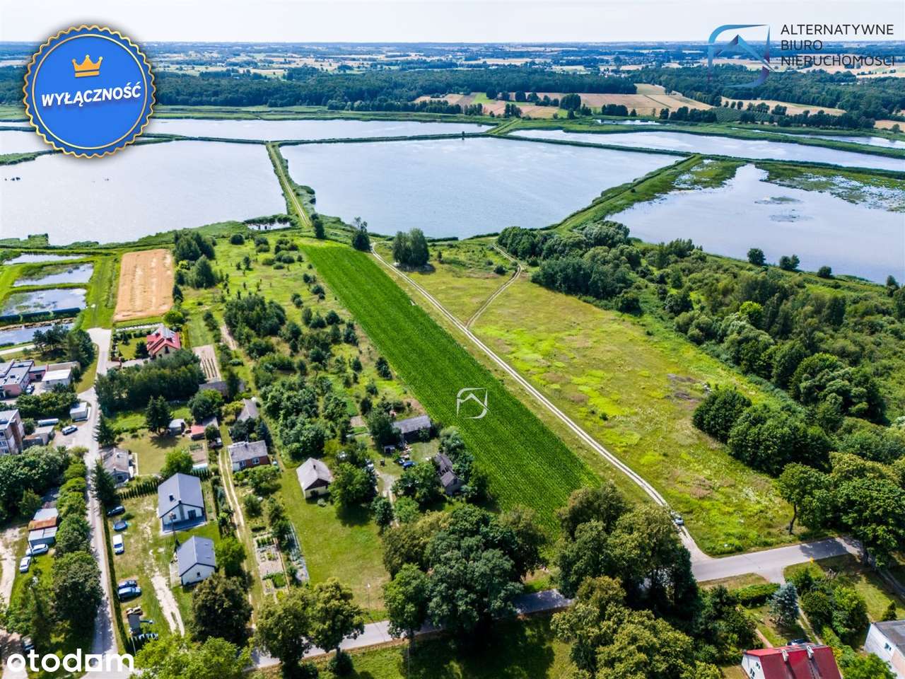 Działka wśród stawów Samoklęskach - Pełny obrazek: 4/14