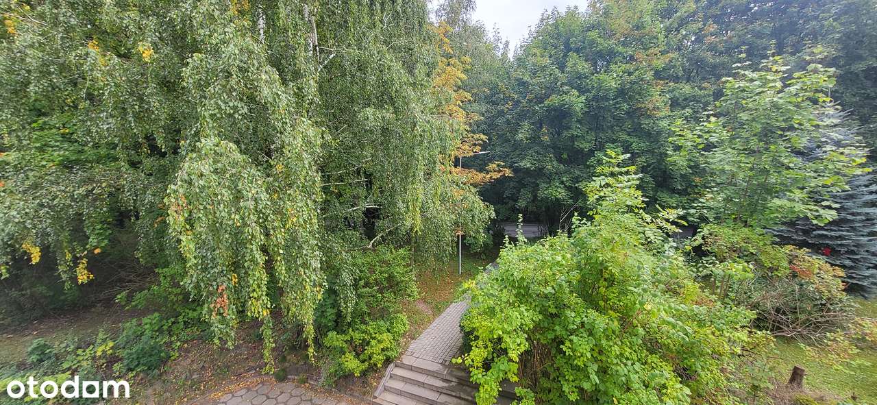 4 pokojowe mieszkanie w Wałbrzychu-7