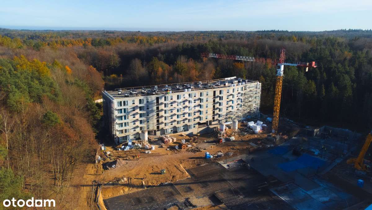 nowa inwestycja w otulinie lasu | ogród - Pełny obrazek: 4/14