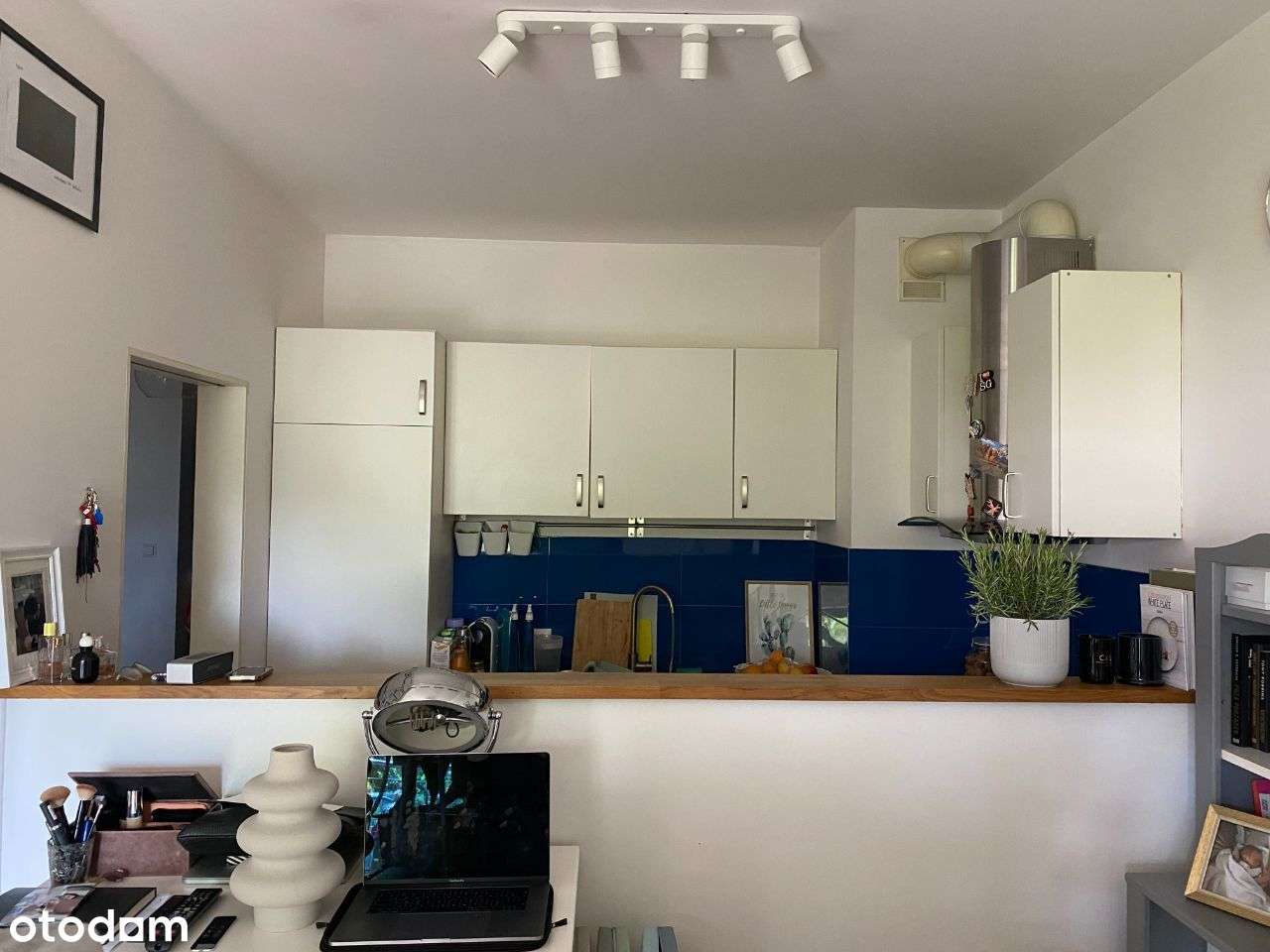 Bezposrednio, widok na park i rzeczkę, duzy taras - Pełny obrazek: 3/13