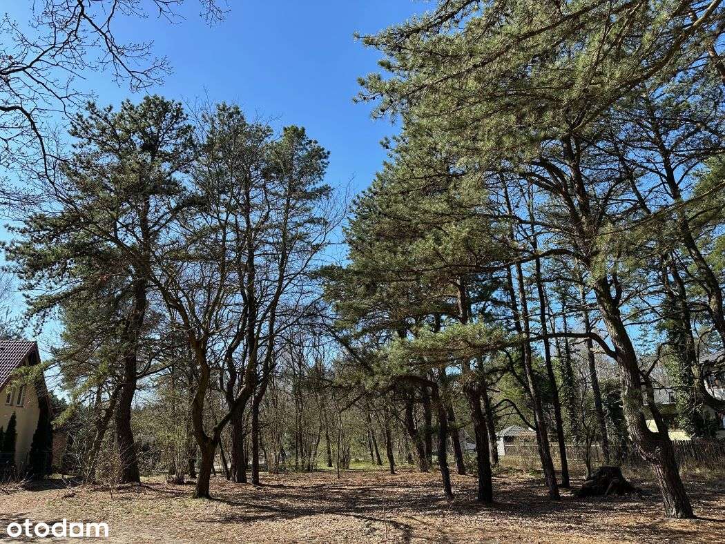 Słoneczna, cicha, prawie nad Świdrem ze wszystkimi mediami 0%-0