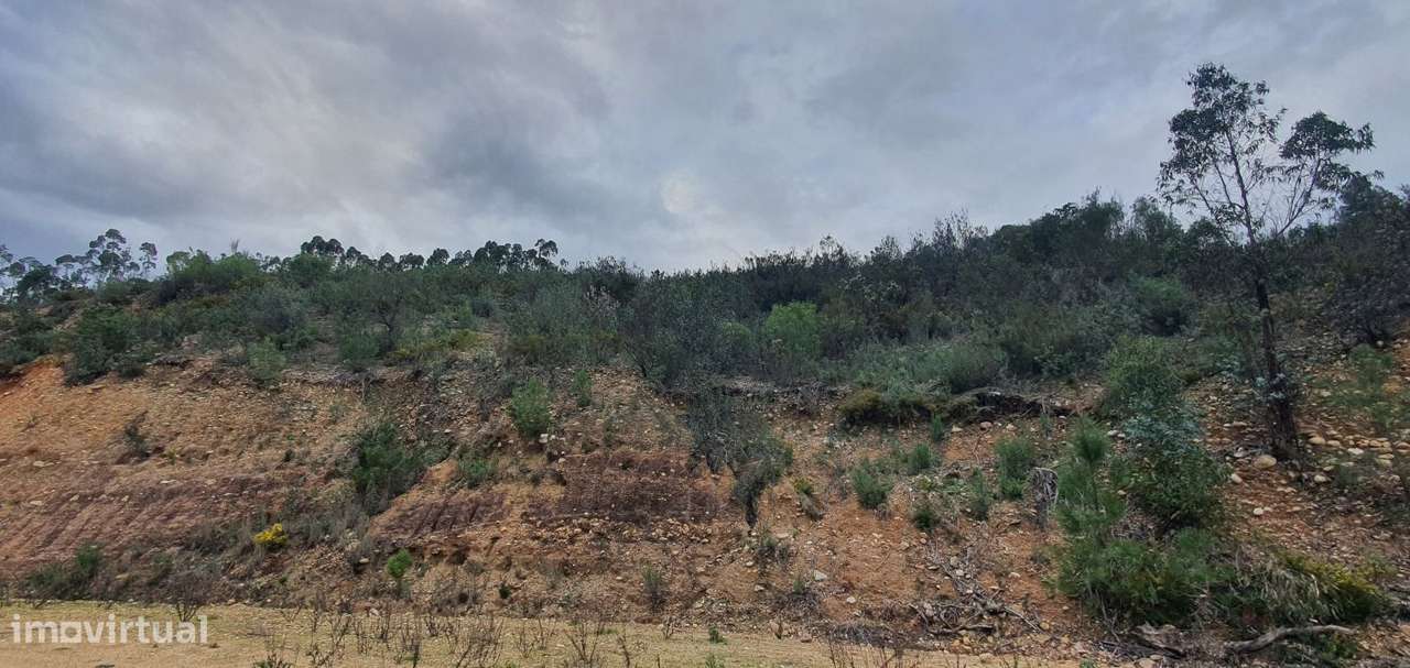 Terreno com acesso ao rio Zêzere perto da Macieira - Vila de Rei - Grande imagem: 4/23